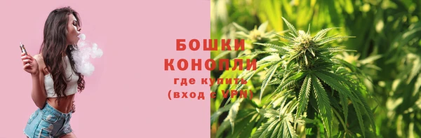 мяу мяу мука Каменногорск