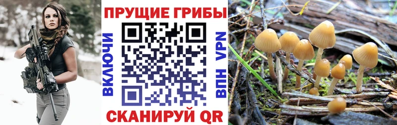 Псилоцибиновые грибы мицелий  как найти закладки  Орёл 